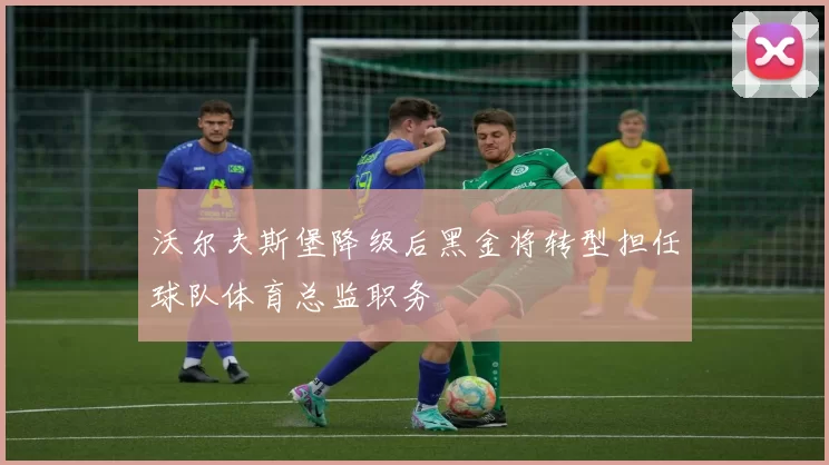 沃尔夫斯堡降级后黑金将转型担任球队体育总监职务